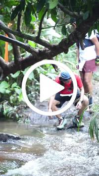 BIB:  <button type="button" onclick="openModal(27808942)" class="btn btn-primary btn-sm float-right" data-toggle="modal" data-target=".modal-high-quality">
                <i class="fa fa-download"></i> Download
                </button>